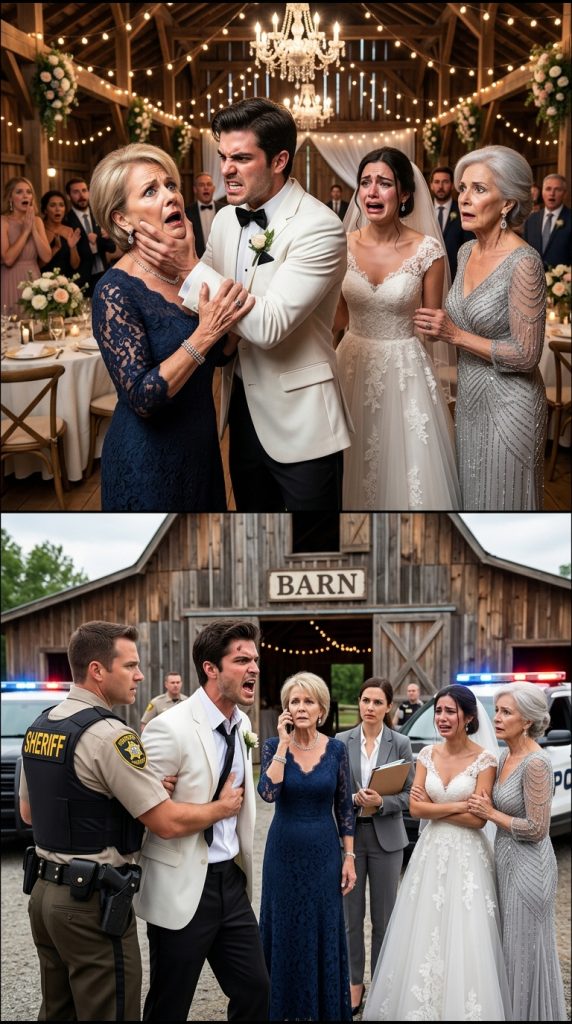 At my daughter’s wedding, my son-in-law demanded the farm keys and slapped me when i refused, so i left, made a phone call, and he was shocked by who answered.