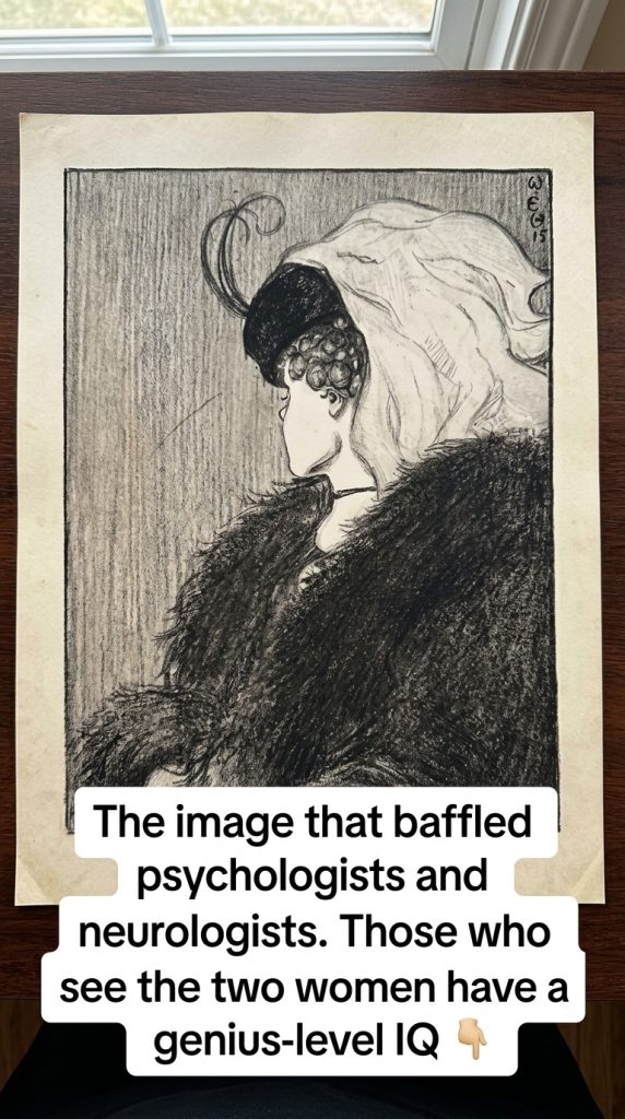 ONLY A HANDFUL OF PEOPLE CAN FIND BOTH HIDDEN IMAGES IN THIS POSTCARD – CAN YOU?