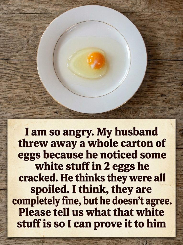 What Is the White Strand in Eggs? A Simple Explanation
