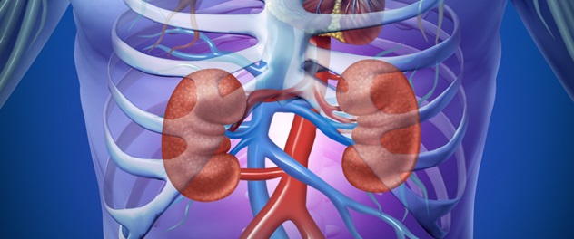10 Warning Signs Your Kidneys Could Be in Trouble